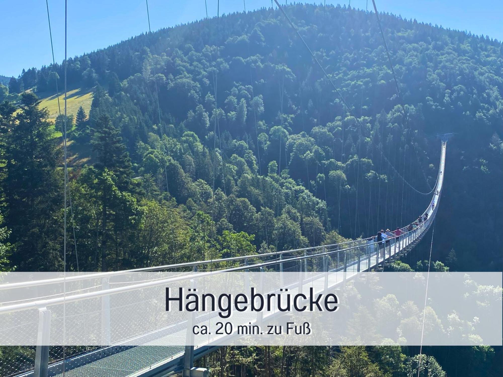 Herzgruen Direkt An Traumhaften Wanderwegen Balkon Mit Toller Aussicht Sauna Im Haus Tiefgarage E-Ladestation Тодтнауберг Экстерьер фото