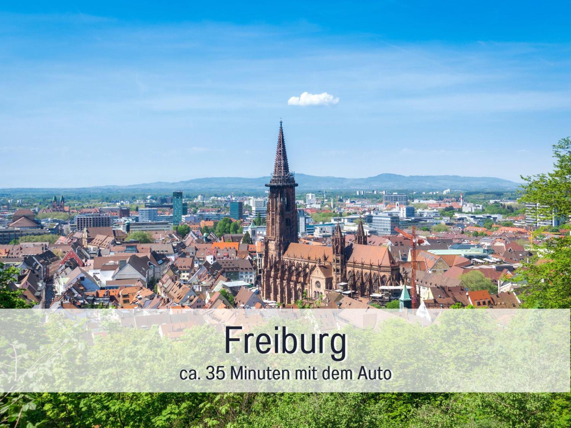 Herzgruen Direkt An Traumhaften Wanderwegen Balkon Mit Toller Aussicht Sauna Im Haus Tiefgarage E-Ladestation Тодтнауберг Экстерьер фото