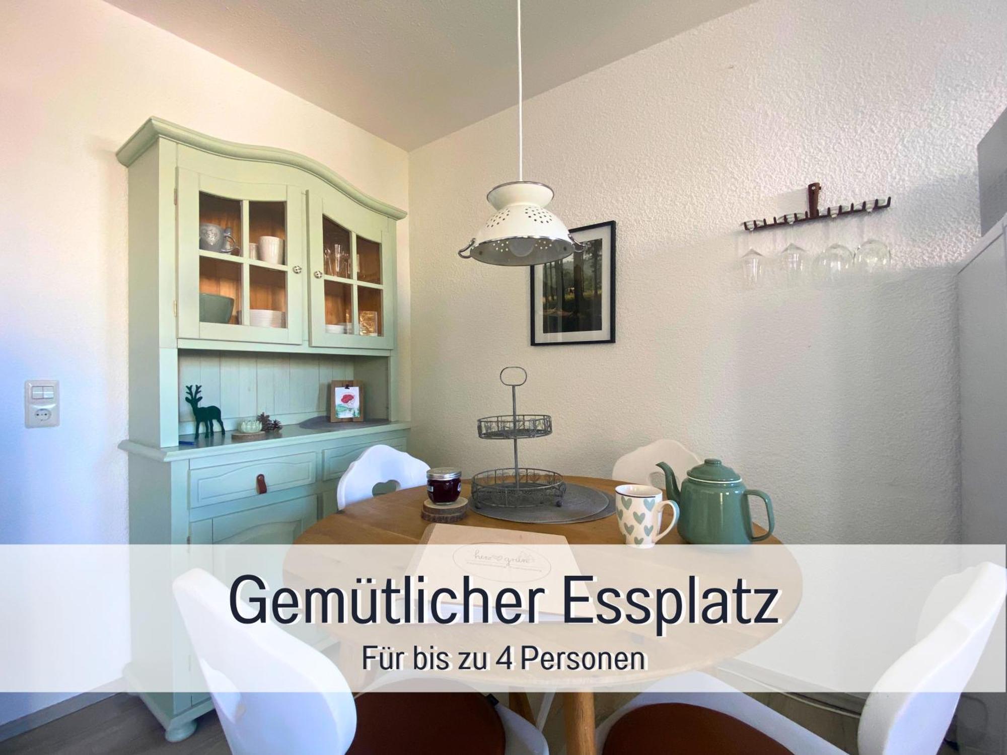 Herzgruen Direkt An Traumhaften Wanderwegen Balkon Mit Toller Aussicht Sauna Im Haus Tiefgarage E-Ladestation Тодтнауберг Экстерьер фото