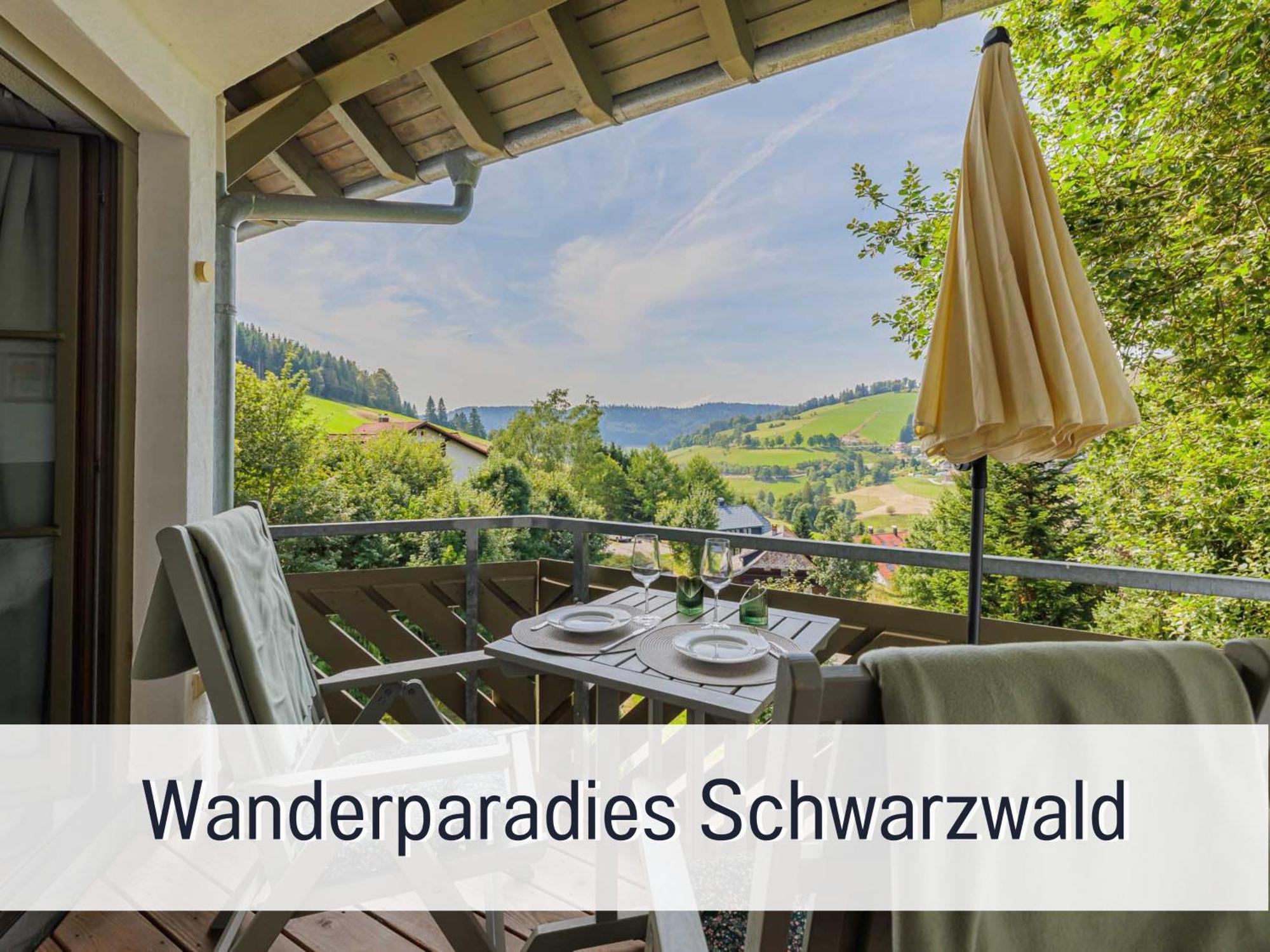 Herzgruen Direkt An Traumhaften Wanderwegen Balkon Mit Toller Aussicht Sauna Im Haus Tiefgarage E-Ladestation Тодтнауберг Экстерьер фото